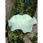 Grote schaal blad turquoise 