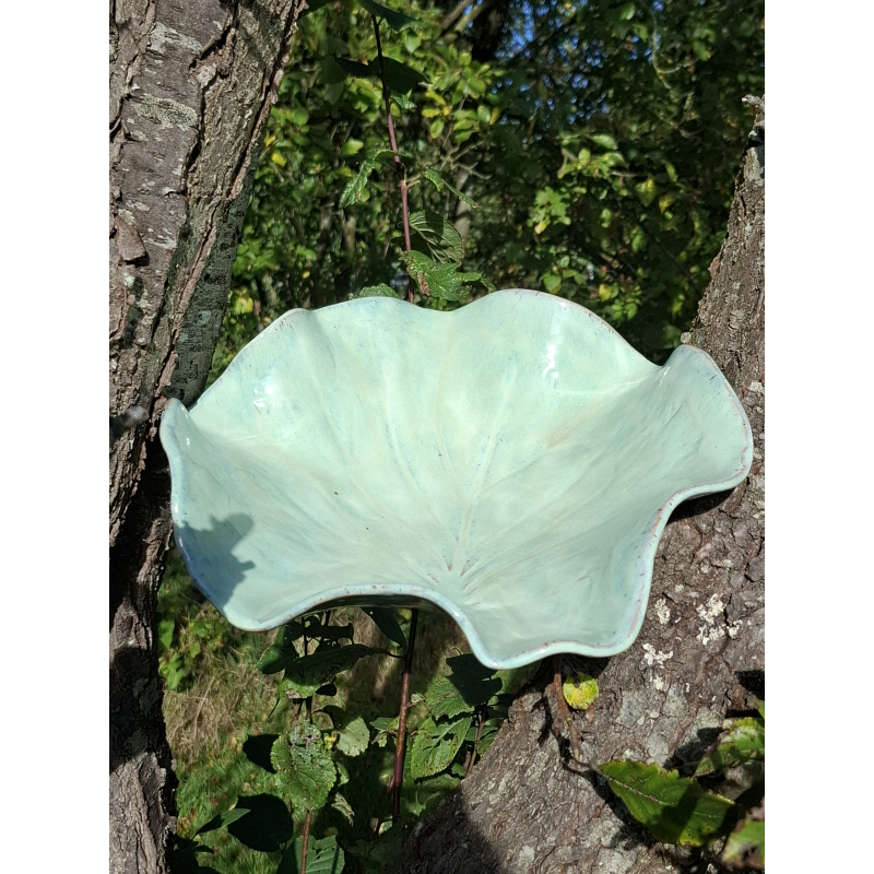 Grote schaal blad turquoise 