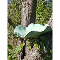 Grote schaal blad turquoise 