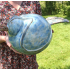 Grote blauwe vogel