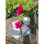 Set van 4 kopjes creme