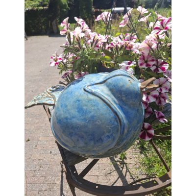 Grote blauwe vogel
