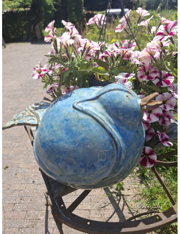 Grote blauwe vogel